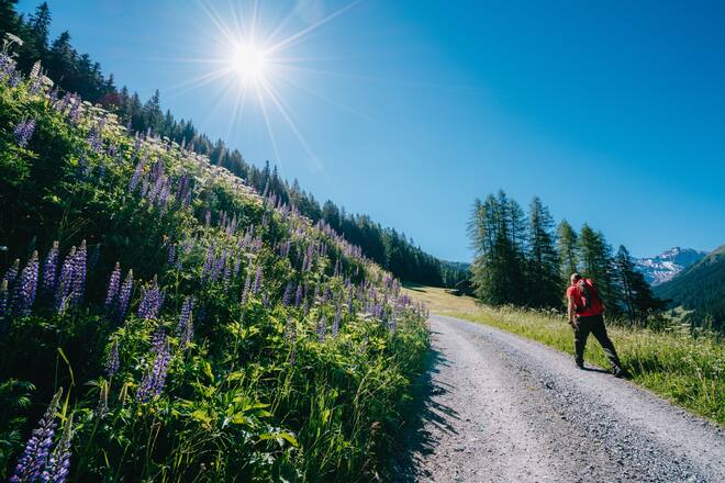 Wandern Davos (AST Native)