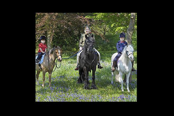 11.05.2011_Queen Elizabeth hoch zu Ross