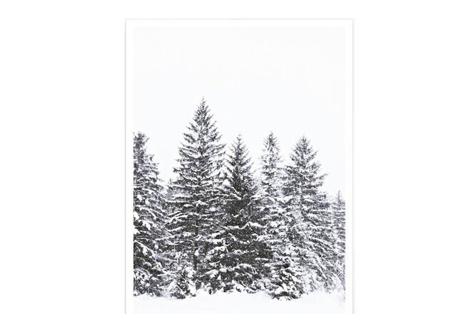 Poster «Black Wintertrees» von Juniqe