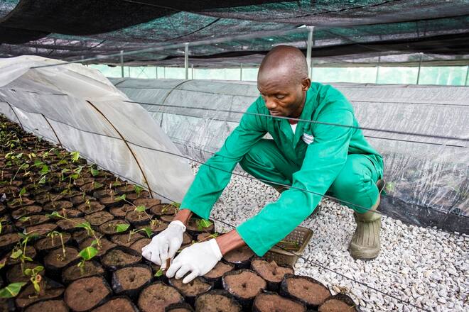Bildgalerie - Cailler - Beim Schoggibauern
