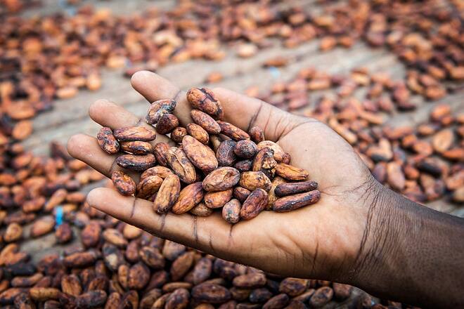 Bildgalerie - Cailler - Beim Schoggibauern