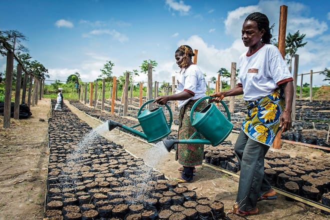 Bildgalerie - Cailler - Beim Schoggibauern