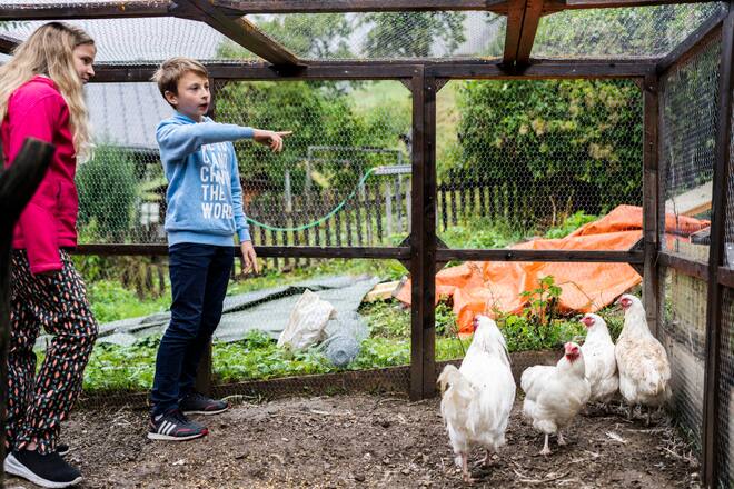 Digi-Tal Schweiz, Bergdorf Bratsch im Oberwallis, Schule, SI 41/2021, Elin und Gabriel im Hühnerstall hinter der Schule