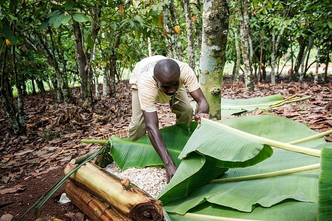 Bildgalerie - Cailler - Beim Schoggibauern