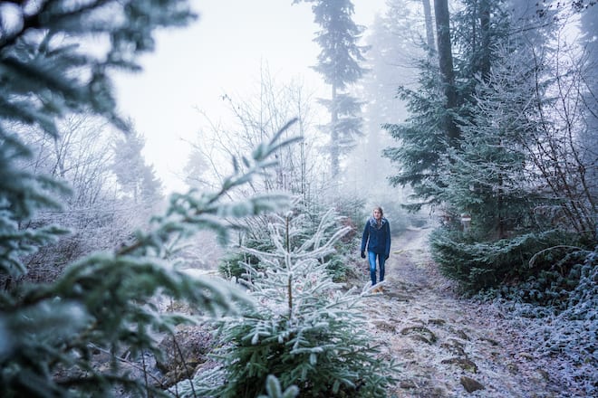 Portrait Tanja Hüberli Im Wald wo sie oft Spazieren geht Reichenburg (SZ)