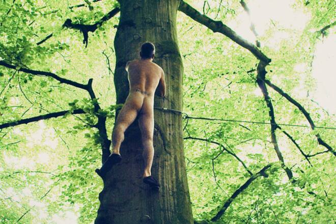 Robbie Williams und seine Liebe zu Bäumen