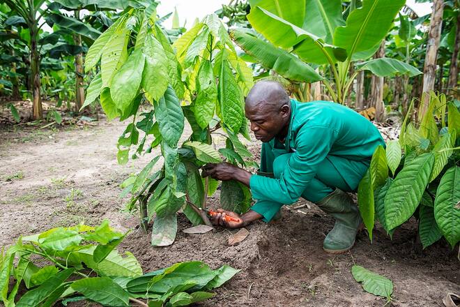 Bildgalerie - Cailler - Beim Schoggibauern