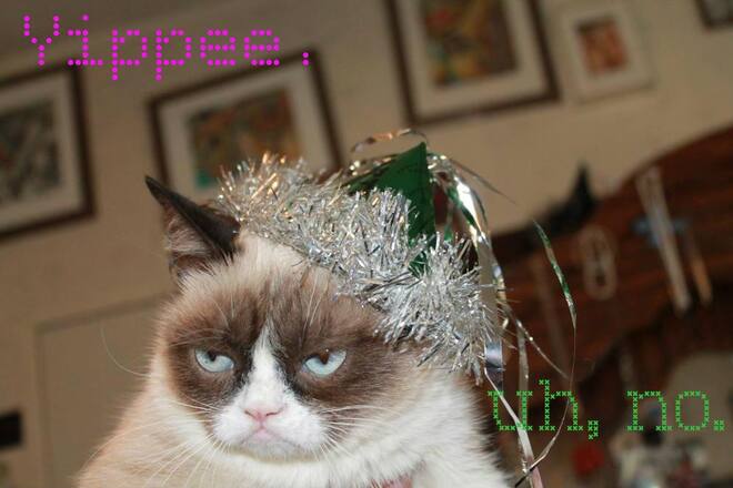Grumpy Cat an Silvester