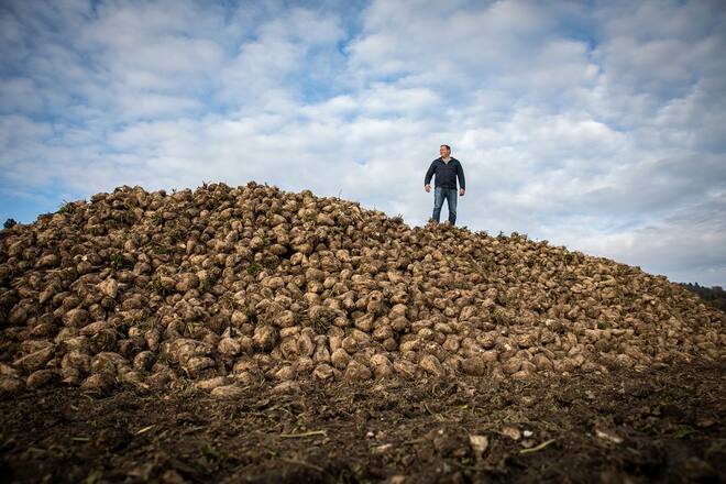 Mehr Schweiz im Teller, Adrian Hauert