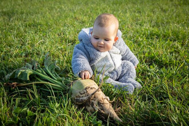 Mehr Schweiz im Teller, Adrian Hauert