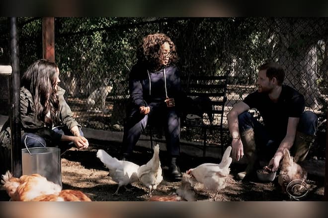 Herzogin Meghan und Prinz Harry zeigten ihre Hühner auch schon Talk-Ikone Oprah Winfrey.