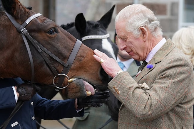 König Charles III. hat die angeblich rund 180 Pferde und Ponys von Queen Elizabeth II. geerbt.