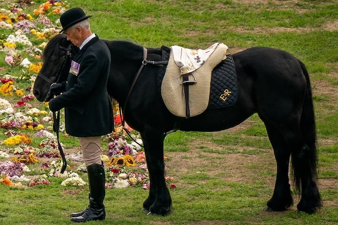 Pony Emma und Gestütsleiter Terry Pendry bei der Beerdigung der Queen