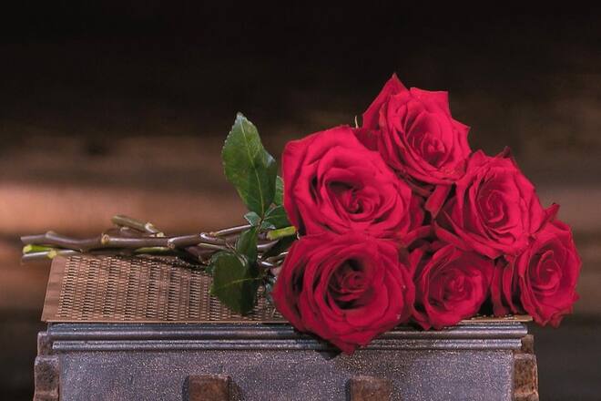 Rote Rosen bald auch für deutsche «Golden Ager»?