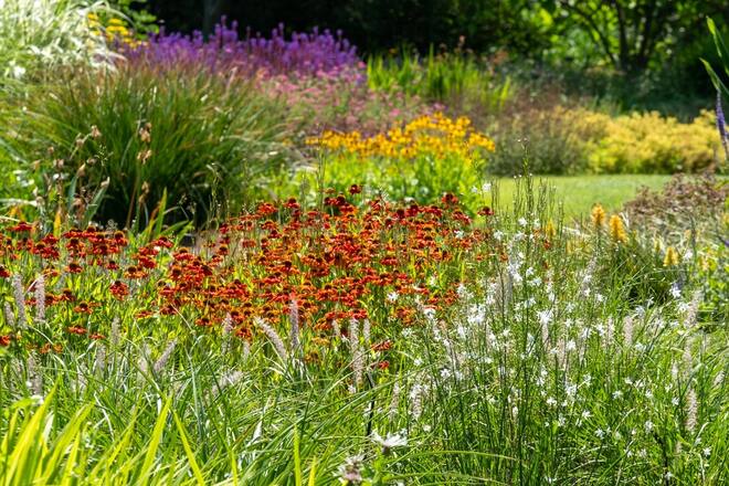 Viel Grün und üppige Blüten: Wer die richtige Pflanzenauswahl beachtet, hat trotz Klimawandel Freude an seinem Garten.