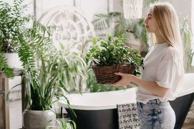 Das Badezimmer ist ein idealer Ort für Pflanzen, den Urlaub zu überleben.