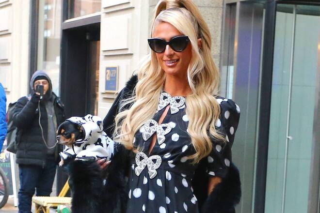 Hotel-Erbin Paris Hilton gibt ihren Hunden nicht nur interessante Namen, sondern nimmt sie auch gerne zu ihren Terminen mit.