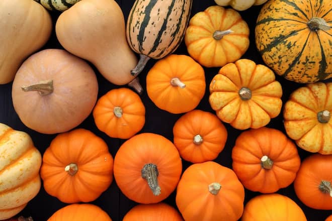 Es gibt über 800 verschiedene Kürbissorten.