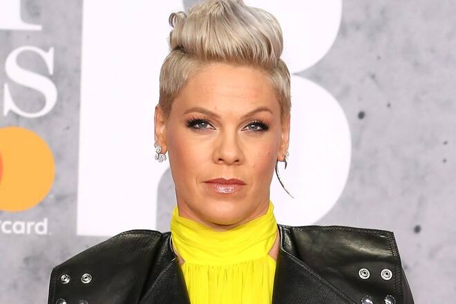 Summer Carnival ist die achte Tournee von Sängerin Pink. Sie soll noch bis März 2024 dauern.