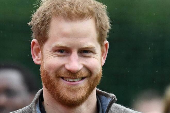 Prinz Harry in der Natur.