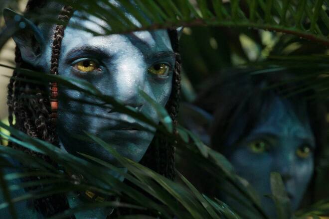 «Avatar: The Way of Water» läuft seit 14. Dezember im Kino.