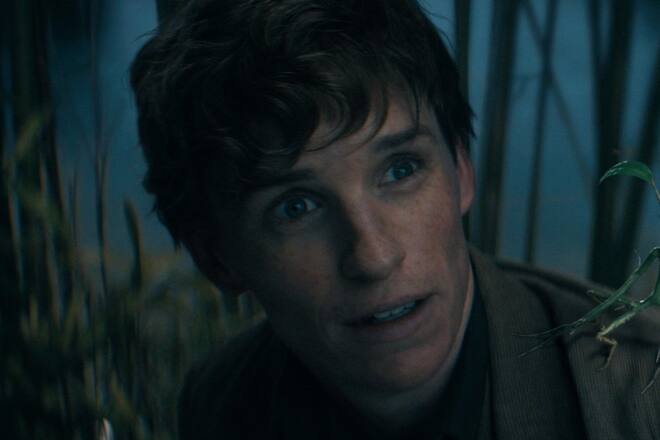 Eddie Redmayne als Newt Scamander in «Phantastische Tierwesen: Dumbledores Geheimnisse».