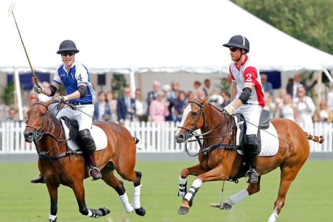 Prinz Harry Prinz William