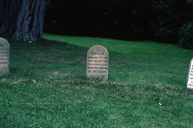 Queen Elizabeth und ihre Corgis