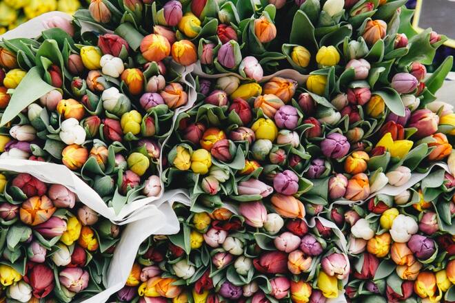 bloglove meltingbutter.com