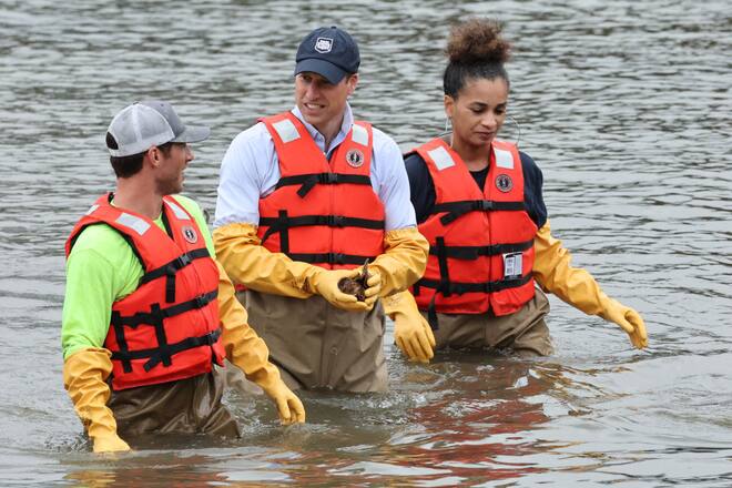 Prinz William sammelt Austern in New York.