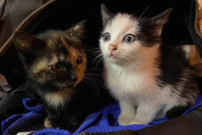 Persönliches Interview Isabel Florido kleine Bilder