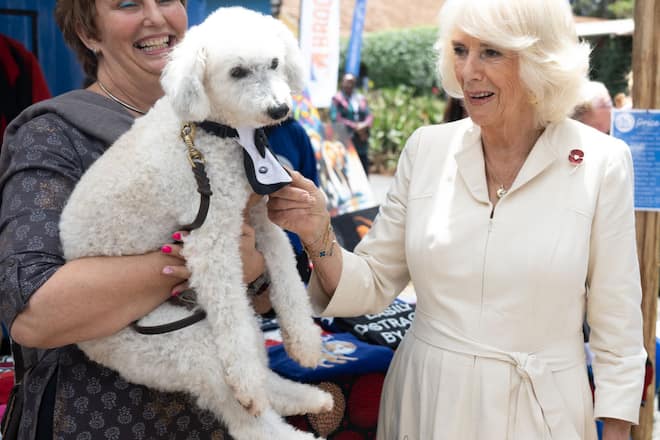 Und selbst bei ihren vierbeinigen Freunden kann Camilla sich nicht zurückhalten – obwohl der Hund weniger begeistert davon aussieht. Sein Frauchen findet es dafür umso lustiger.