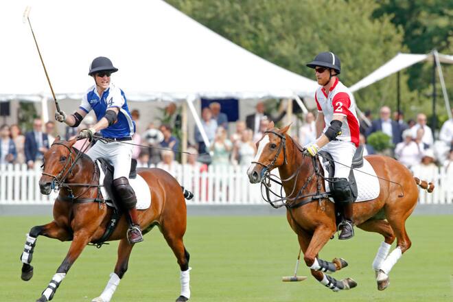 Prinz Harry Prinz William