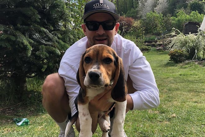 Stress mit Hund Kasper