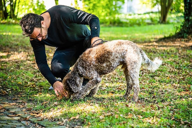 Salar Bahrampoori Trennung Homestory