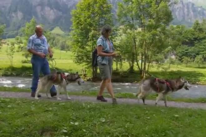 «Bauer, ledig, sucht...» Staffel 10 Folge 13 Landwirt Edy und Hofdame Jeanette Krise