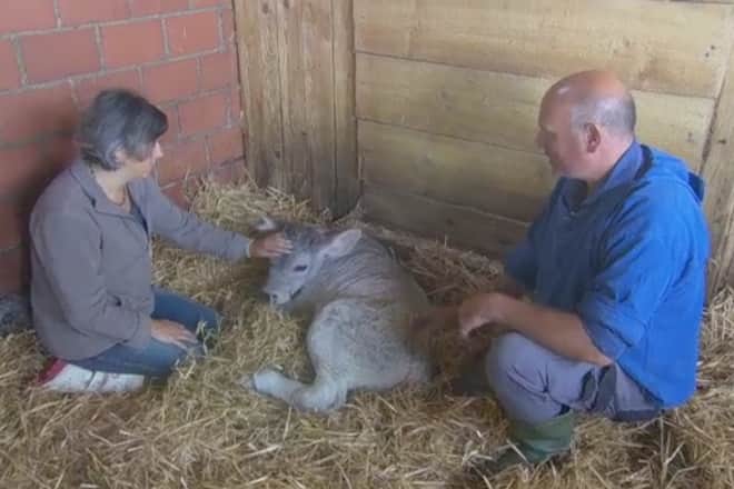 «Bauer, ledig, sucht...» Staffel 10 Folge 13 Landwirt Edy und Hofdame Jeanette Krise
