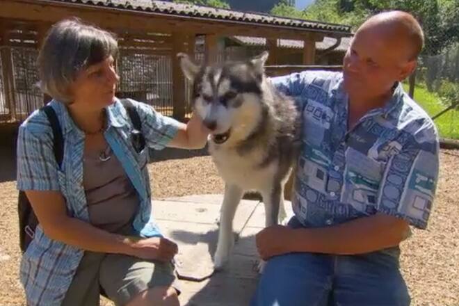 «Bauer, ledig, sucht...» Staffel 10 Folge 13 Landwirt Edy und Hofdame Jeanette Krise