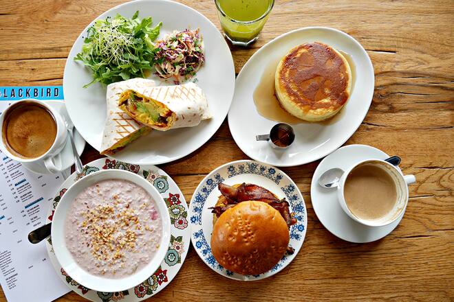 Blackbird Downtown Diner