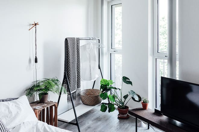 Diese 5 Zimmerpflanzen sorgen für einen besseren Schlaf