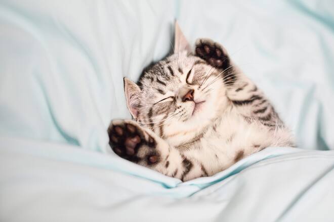 4 Tipps fürs Einschlafen in 10 Minuten