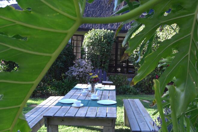 Sacha von der Crone Südafrika Winter im Geusthouse