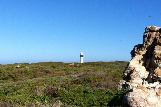 Auswandern Süfafrika Sacha von der Crone Klima Wetter Politik Wale