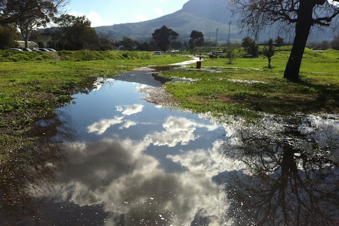 Blog Auswandern Südafrika Sacha von der Crone Leben Politik