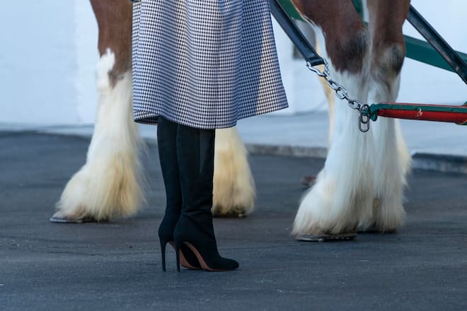 November 23, 2020 - Washington, DC, United States: First lady Melania Trump receives the 2020 White House Christmas Tree at the North Portico of the White House.(Chris Kleponis / Polaris) (FOTO:DUKAS/POLARIS)