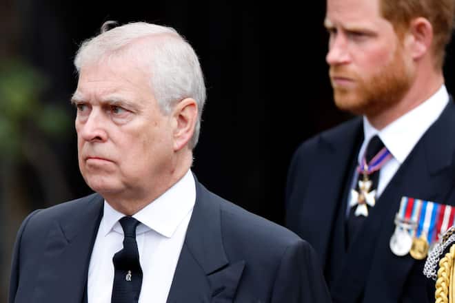 Prinz Andrew und Prinz Harry