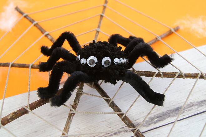 Halloween Spinne Coop Hello Family