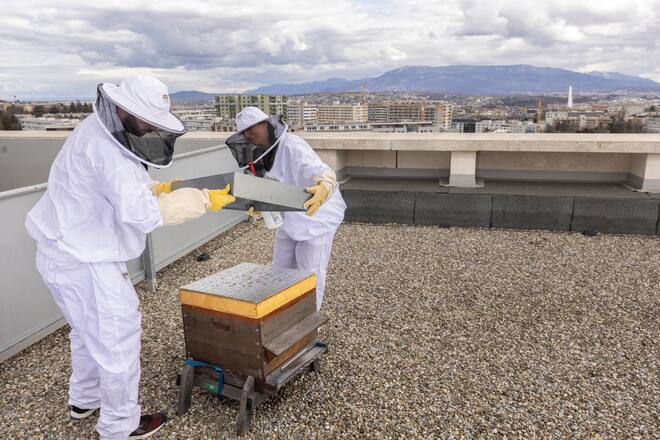 AHV Hauptgebäude ZAS, Genf