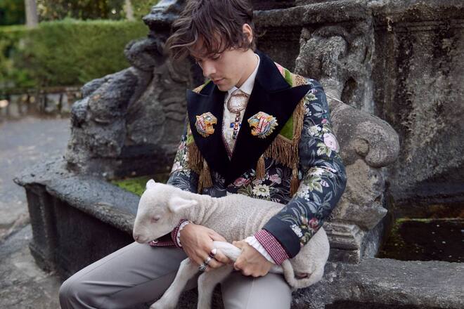 Harry Styles Gucci