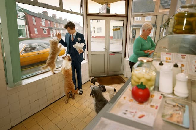 Harry Styles in der Gucci Kampagne